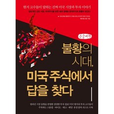 미국주식에미치다책