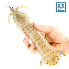 a7f61a1ae8996d1d92cd0e940c3b8619b582a25081ac4aa210c5f5a8a609.png
