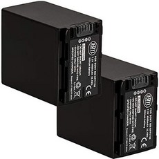 BM Premium BM 2-Pack of NP-FV100 Batteries for Sony FDR-AX53 HDR-CX455 HDR-CX675 PJ260V HDR-PJ380 H, One Color_One Size, 상세 설명 참조0, 상세 설명 참조0
