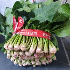 포항시금치 섬초 1kg이내 노지 비금도 보물초 남해 포항초, 2단(800g~900g)