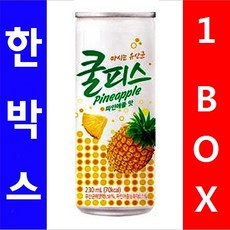 쿨피스
