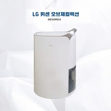 LG전자 오브제컬렉션 DQ163PECA