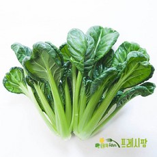 비타민채소