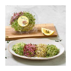 건강채소 프리미엄 영암 모듬새싹채소 50g 5팩, ONE COLOR, ONE SIZE