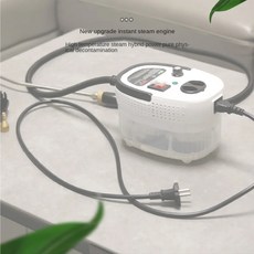 빠른 가열 고온 및 고압 스팀 청소기 가전 제품 스팀 청소기 3 바 110V 220V, 5.red 110V