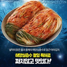 아라포기김치 저염 강원도 고랭지 10kg, 1개