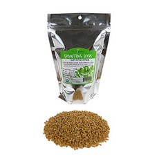 Soft White Wheat - Organic - 1 Lbs. Resealable Pouch - Handy Pantry Brand - Perfect for Food Storage