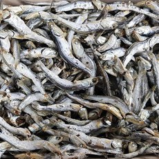 국물멸치오사리