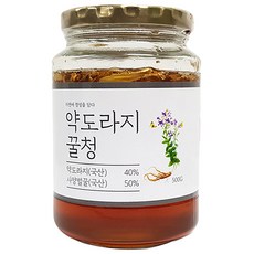 이고장식품 약도라지꿀청 도라지차 국내산, 500g, 1개