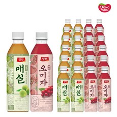 동원 양반 매실차+오미자차 혼합 500ml x (각12개)총24개 매실음료 펫음료 과채음료