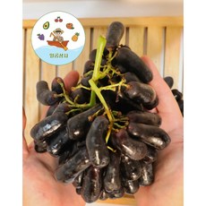 블랙사파이어포도
  씨없는 고당도 블랙사파이어 포도 1kg 2kg 8.6kg 박스 1개 