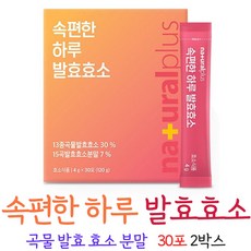 효소파우더 효소분말 속편한 하루 곡물 발효 효소 스틱, 2박스, 30포