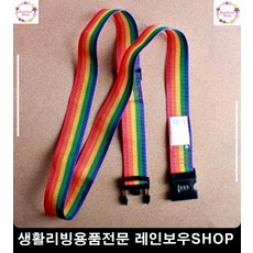 유럽캐리어도난방지