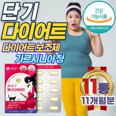 남성 남자 단기 한달 2주 다이어트 DIET 가르시니아 식약처 인증 건기식 캄보지아 HCA 체지방 감소 방법 아랫배 허리 술배 뱃살 빼는법 복부 지방 3일 5일 일주일 보조제