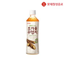 롯데칠성 초가을 우엉차 500ml x 24개입, 24개, 1박스