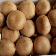 깔끔하고 담백한 풍미 산지직송 국내산 갈색 브라운 양송이버섯, 1박스, 2kg