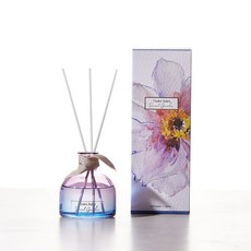 모던하우스토스트기