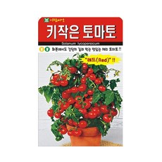 키작은 레드 토마토씨앗 50립 체리 화분 종자