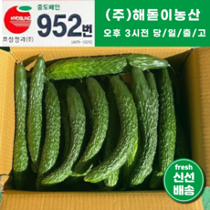 <해돋이농산> 국내산 가시오이 못난이오이 청오이 상품 1박스(34개 내외), 1box, 1box