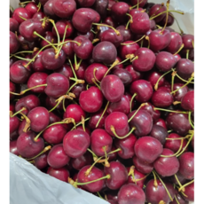 고당도 수입 칠레 생체리 신선보장 항공직송, 1개, 1kg(26-28mm)