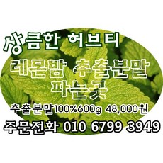그대로말린 100% 레몬 원물 껍질째 말린 천연 레몬 분말스틱 6박스 디톡스 효능 42g 상품 이미지