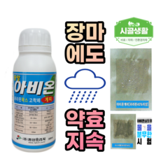 고착제