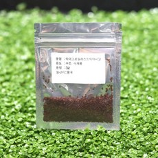 수족관 수초 어항하이글로필라스트릭타 씨앗수초키우기, 1개