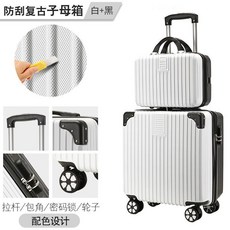 레디백바퀴
