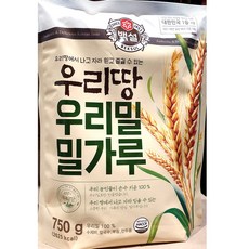 국산밀가루국수