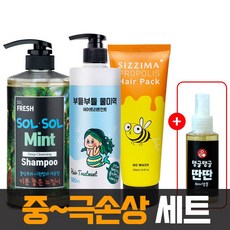 속성헤어자격증일산