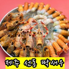 가시발새우