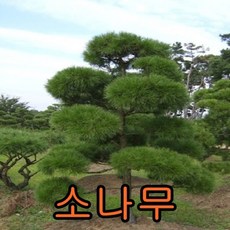 3d1604d9e4776ec1fab2d4bf74091c567cb52468ff6bd3fe55c9337d87b7.jpg