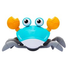 마이리틀타이거워터테이블