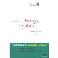 첫사랑, 고려대학교출판부, 이반 S.투르게네프 저/백용식 역