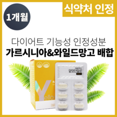 일산블리스다이어트