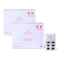 네츄럴굿띵스 잇츠 버닝 CLA 공액리놀레산 감마리놀렌산 다이어트 560mg x 180캡슐