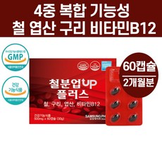 철분 산모 임신준비 출산후 임신중 임산부 임신중기 남성 노인 아이 헴철 비헴철 철분제X, 철 구리 엽산 비타민B12 철분UP플러스60캡슐