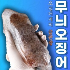 동해안 무늬오징어 1kg 3~5미 생물오징어 통찜 숙회, 1박스