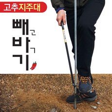 고추대박기