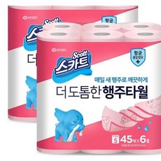 스캇스피드스터10