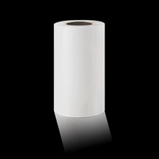 팩시스실링기스프링