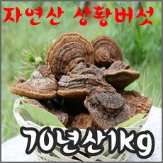 c62240f8c2f4d970523abefb7975cbed08a72035b89a65c73aa131e48f0d.jpg