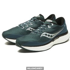 써코니 트라이엄프 18 데일리 캐주얼 운동화 런닝화 조깅화 S20595-20 틸 실버 297323