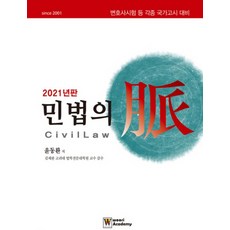 민법의 맥(2021):변호사시험 등 각종 국가고시 대비, 우리아카데미, 9791162531075, 윤동환 편저