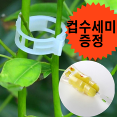 고추끈매는클립