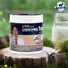 남재현산양유 단백질 1000 네덜란드 산양유 단백질 분말 1병, 2300mg, 1개 - 최정언산양유