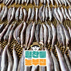 [힘찬들 농부집] 정품 선주직송 동해안 반건조 제철 양미리, 1박스, 1두름 500g (20미) 20cm 내외 x 2팩
