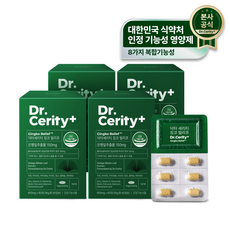 닥터세리티 징코빌리프 120정 은행잎추출물 혈액순환 식물성코팅 혈행 기억력 개선, 60정, 4개