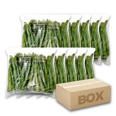 아스파라거스 냉동 1kg 10봉 박스 도매 대용량 스테이크 고급요리 냉동야채, 10개