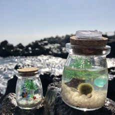 [아로마제주] 마리모어항만들기 DIY 키트 80ml 반려식물, 2번led뚜껑